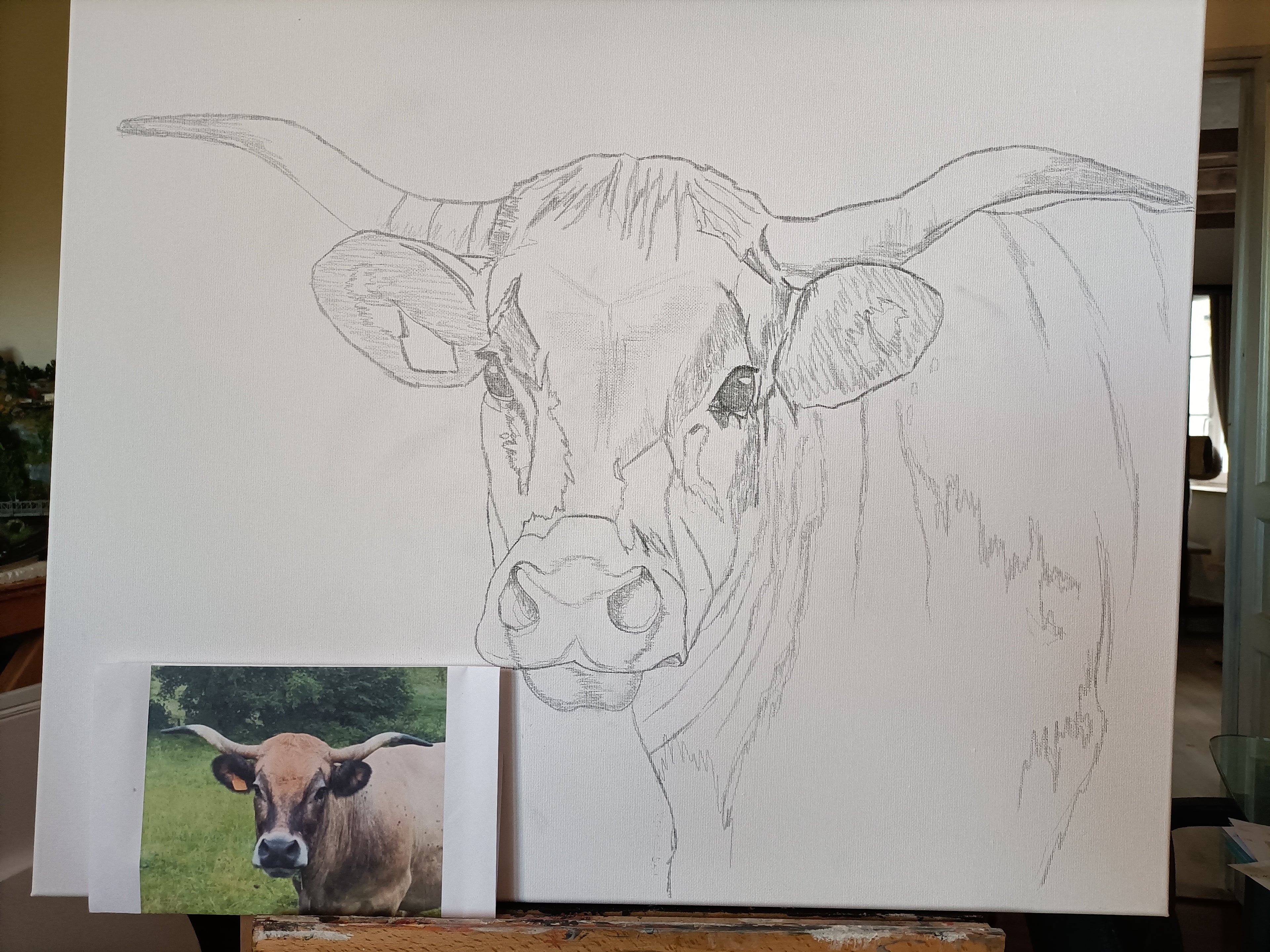 Pasture Queen   VENDU