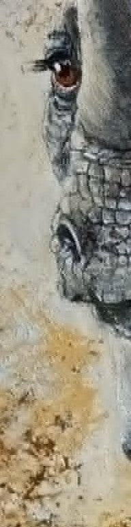 SAVANNAH – Ancient Strength
