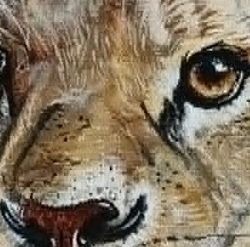 SAVANNAH – Protection